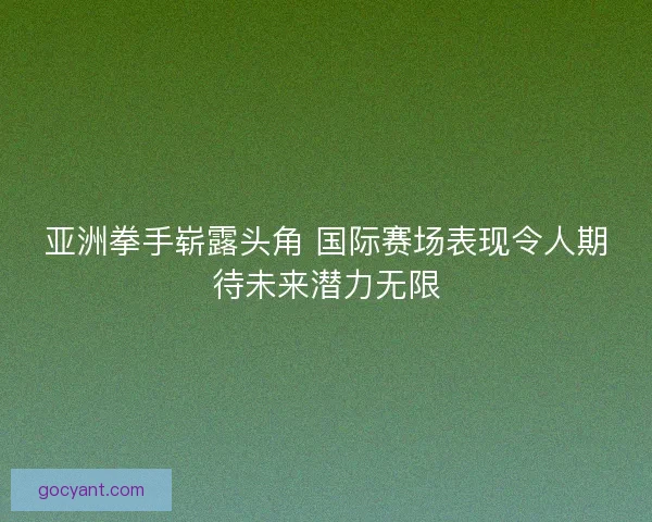 亚洲拳手崭露头角 国际赛场表现令人期待未来潜力无限