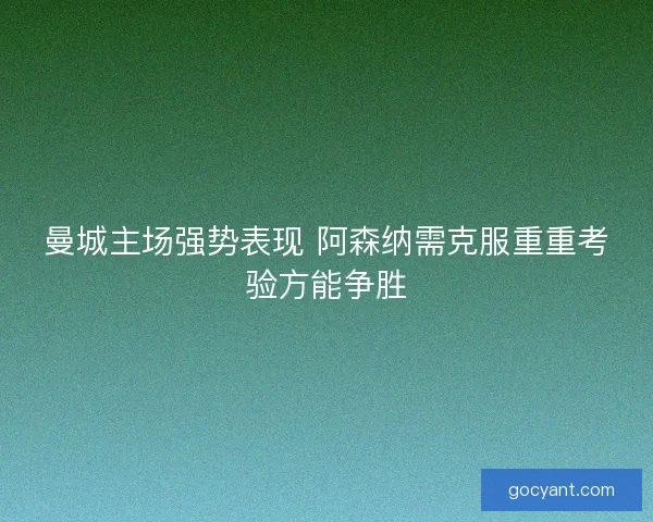 曼城主场强势表现 阿森纳需克服重重考验方能争胜