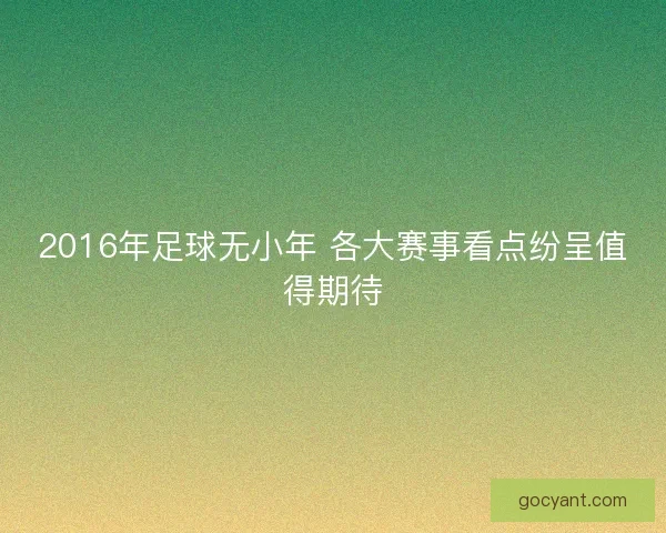 2016年足球无小年 各大赛事看点纷呈值得期待